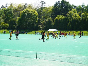 hockey-artificial-turf-002