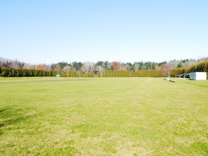 hockey-natural-grass-002